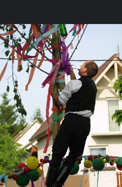 A májusfaállítás veszélyes is lehet