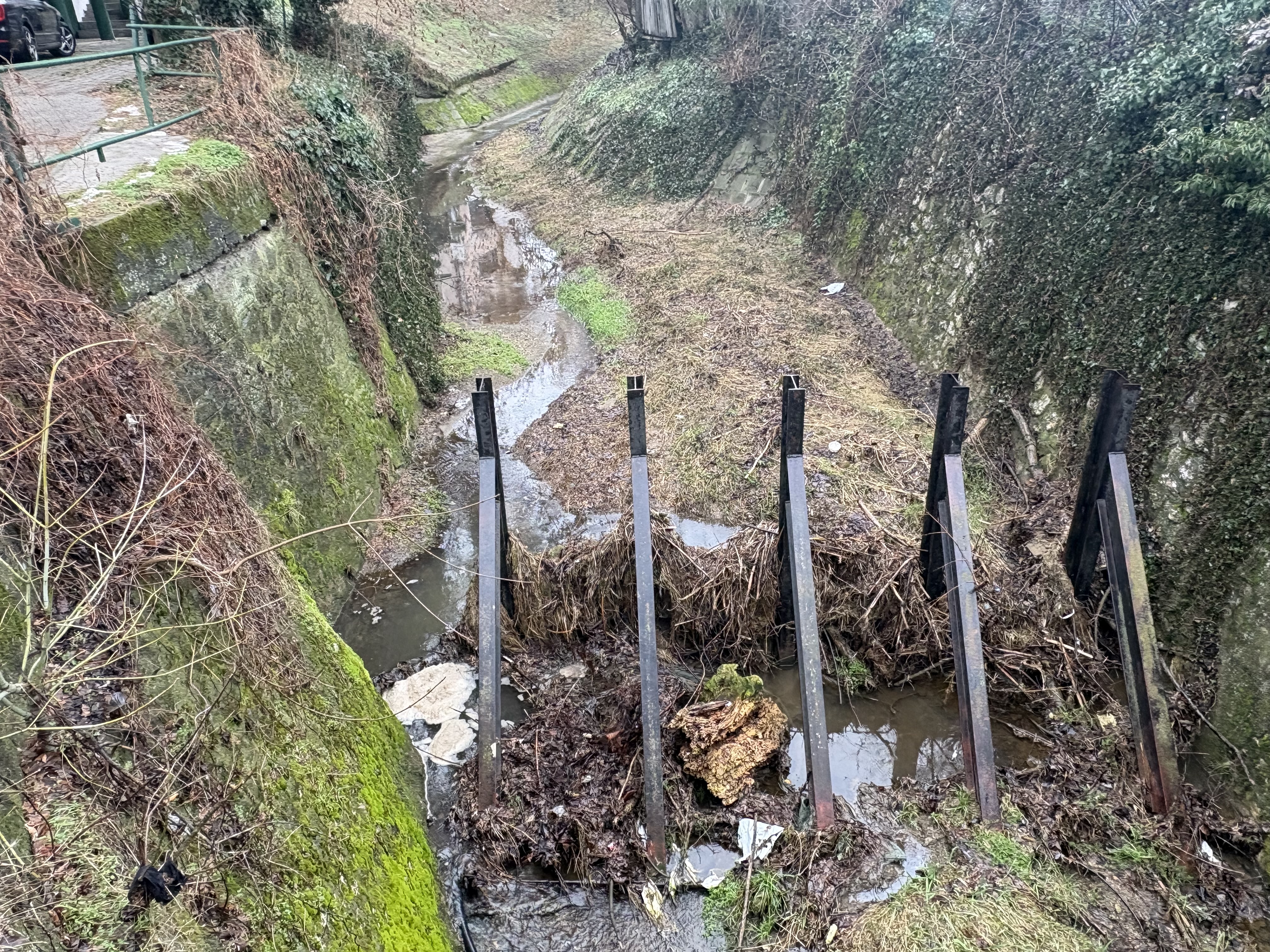 Mederkotrás a Séd pataknál