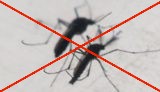 Szerdán ismét földi szúnyoggyérítés Szekszárdon