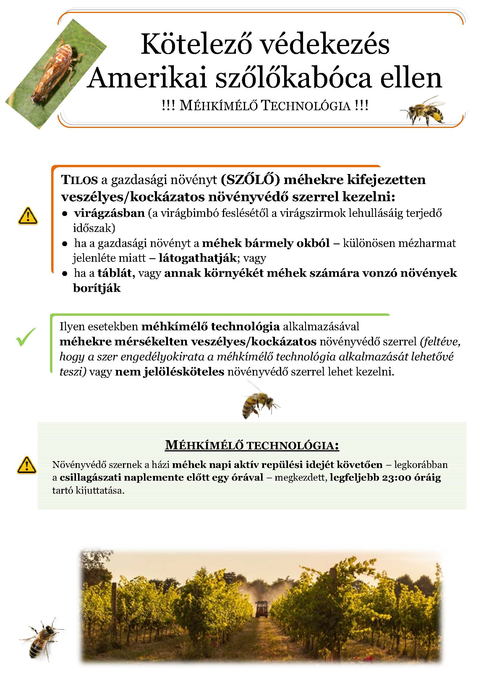 amerikai_szolokaboca_mehkimelo_plakat.jpg