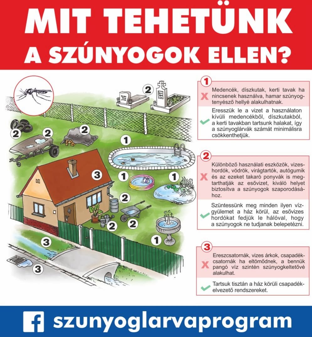 plakat.jpg